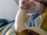 Sexyboy150196 avatar