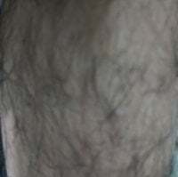 ShadowAce1345 avatar