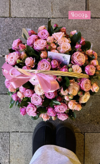 ShyPampBlondie avatar