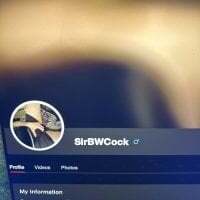SirBWCock avatar