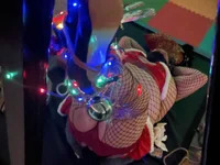 SissyToyAshely avatar