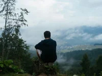 Snehal3544 avatar