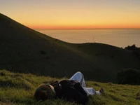 SofiaThonsonn avatar