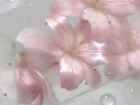 SoftDesirehy avatar