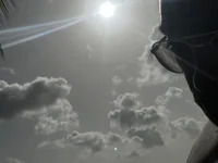 Sous-la-moustiquaire avatar