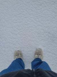 Strammer_Junge avatar