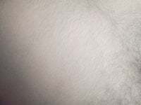 Subhajit12Jana23 avatar