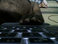 Suggardaddy4u avatar