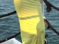 Surbhi246 avatar