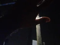 Tamil_alagan_tamil avatar