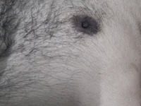 Tamil_raider_cum445 avatar