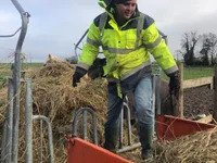 TheErosEffect avatar