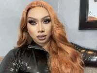 TheHorseCockDivas avatar