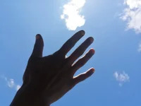 The_pounding_pounder avatar