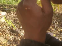 ThickD08 avatar