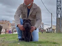 Tigre1993A avatar