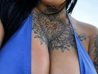 Tigrecurvy avatar