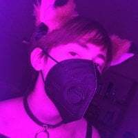 Tiny_PocketFox avatar