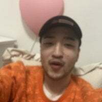 Torotoro_toro avatar