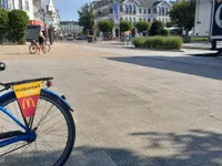 ToyBoyForBBW avatar