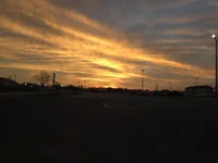 TricolorSuit2822 avatar