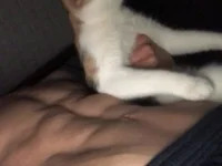 TripFucker avatar