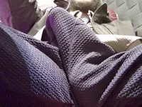 Turkishbigcock16 avatar