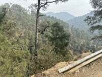 UniqueMagnet19 avatar