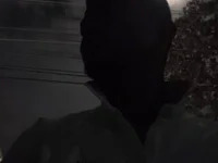 VLust7 avatar