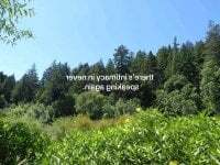 Vampiredaddy_ avatar