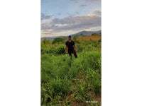 Vandre1235 avatar