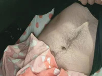 VashTheStampede96 avatar