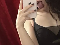VelvetKitty444 avatar