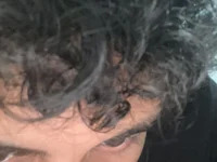 VelvetMode avatar