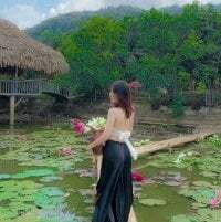 Vina_venus avatar