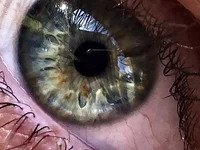 Vincent72452 avatar