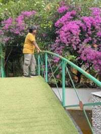 WickedSunny25 avatar