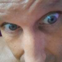 Wilderstier79 avatar