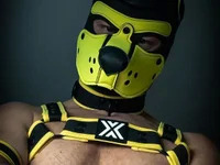 WildyLynx avatar