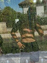 Wixenistgesund avatar