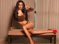 XXXQueenofTransXXX avatar