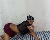 Xavier_fox_ avatar