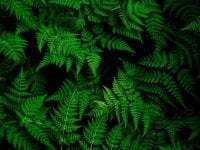 XxxCosmicBitch avatar