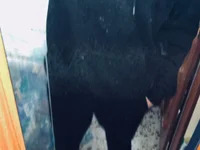 XxxcalienteexxX avatar