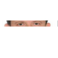 Yalamania avatar
