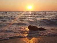 YoungforOld32 avatar