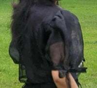 Yummykimkhae88 avatar