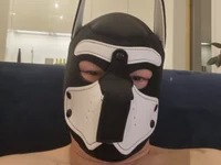 ZKO_Bull avatar