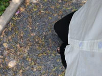 _HoKi avatar