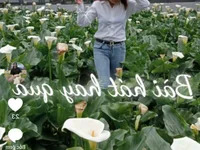 _Mailisa_sexy avatar